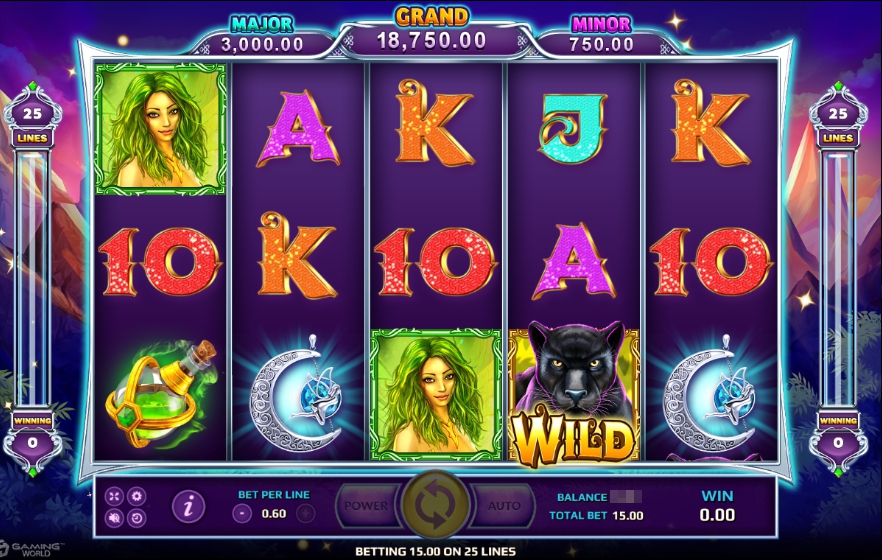 วิธีการเล่น สัญลักษณ์ภายในเกม Wild Fairies